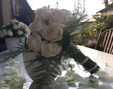 Matrimonio